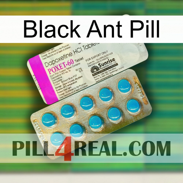 Black Ant Pill new07.jpg